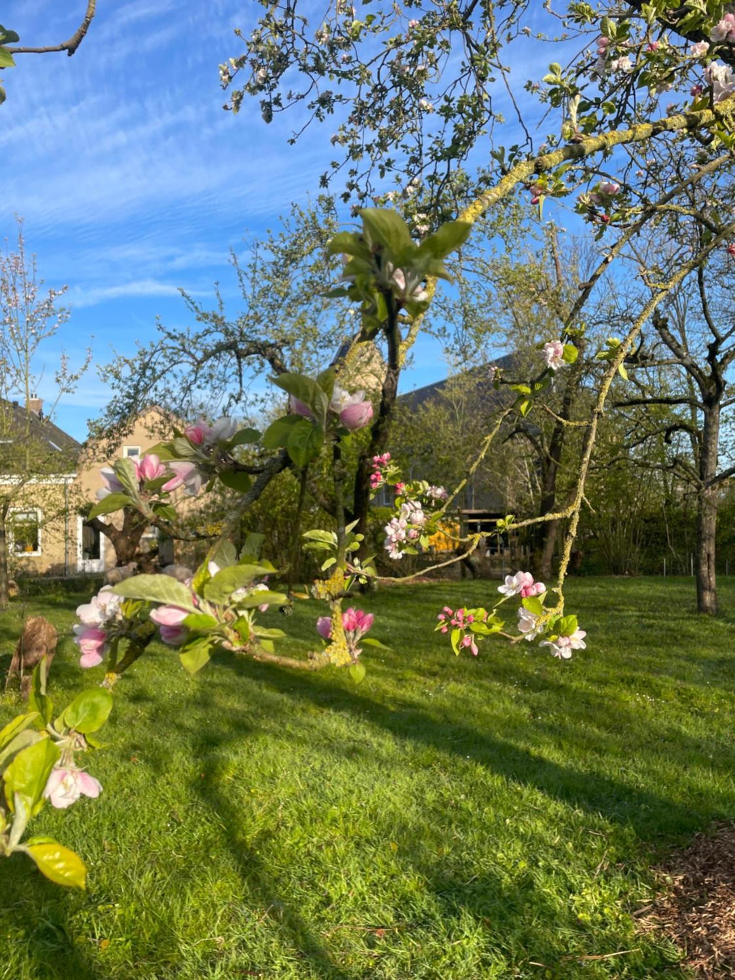 Appartement De Dageraad In Monumentale Boerderij Kimswerd Buitenkant foto