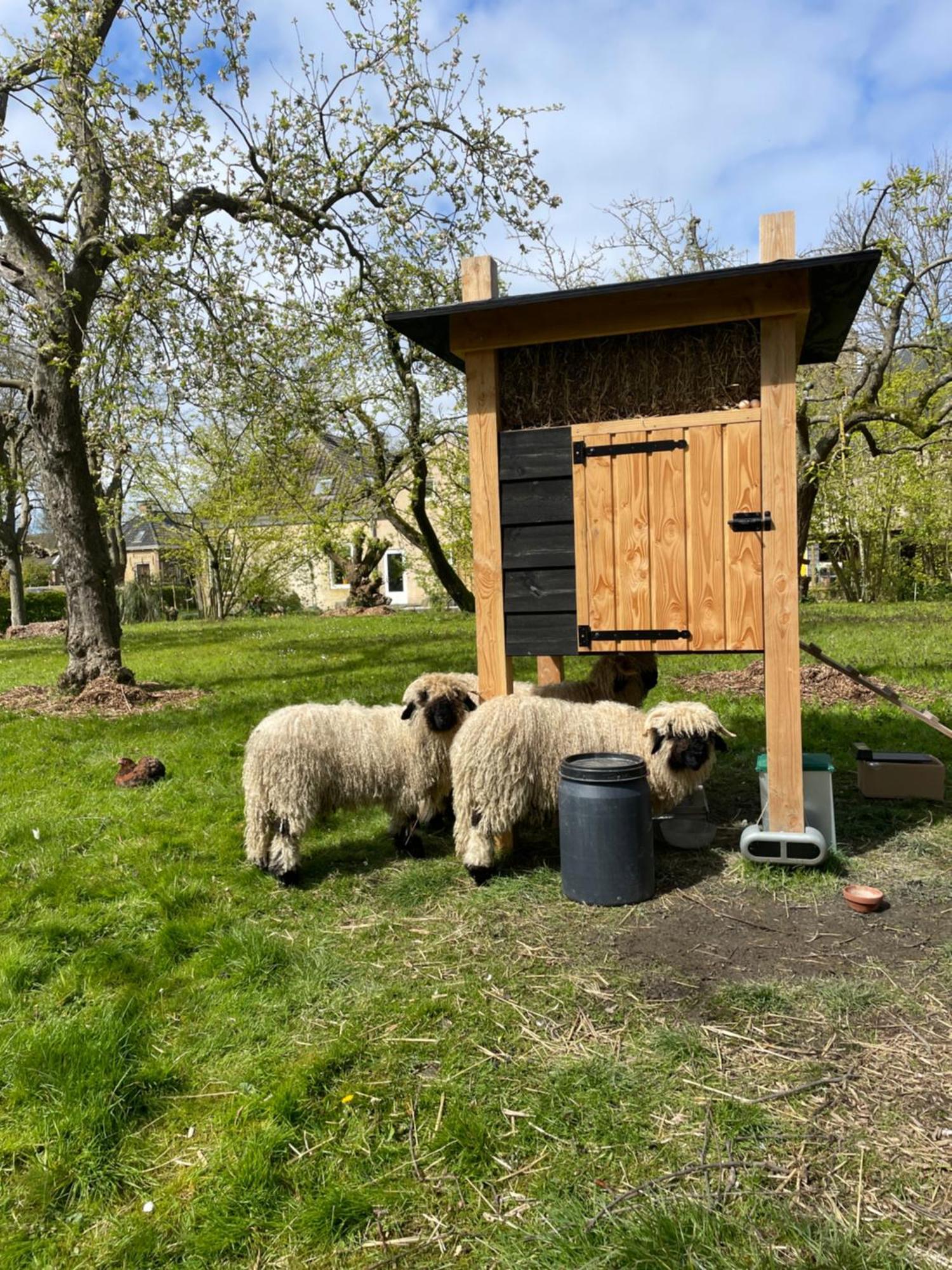 Appartement De Dageraad In Monumentale Boerderij Kimswerd Buitenkant foto